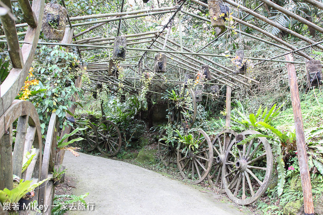 跟著 Mikey 一家去旅行 - 【 復興 】桃源仙谷 - 百蕨小徑