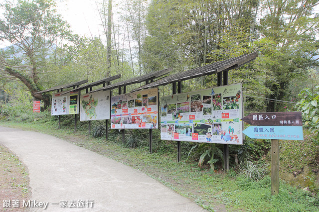 跟著 Mikey 一家去旅行 - 【 復興 】桃源仙谷 - 百蕨小徑