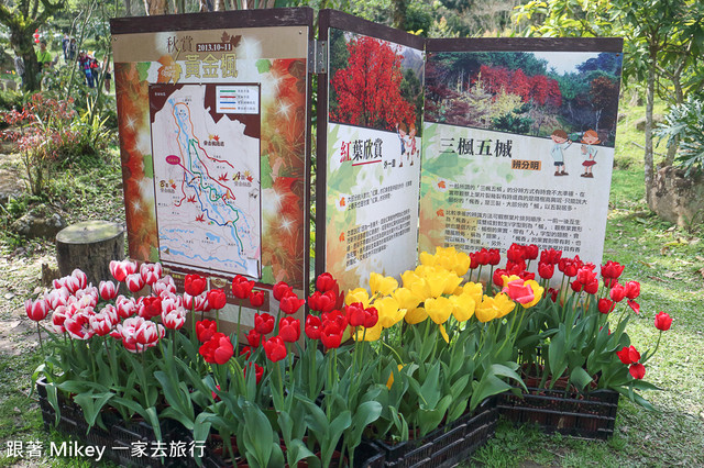跟著 Mikey 一家去旅行 - 【 復興 】桃源仙谷 - 幽蘭園