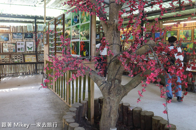 跟著 Mikey 一家去旅行 - 【 復興 】桃源仙谷 - 幽蘭園