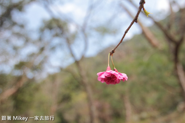 跟著 Mikey 一家去旅行 - 【 復興 】桃源仙谷 - 話仙台