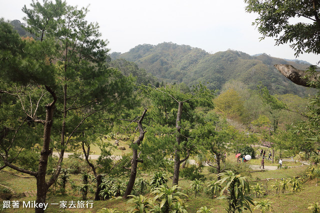 跟著 Mikey 一家去旅行 - 【 復興 】桃源仙谷 - 森林小徑