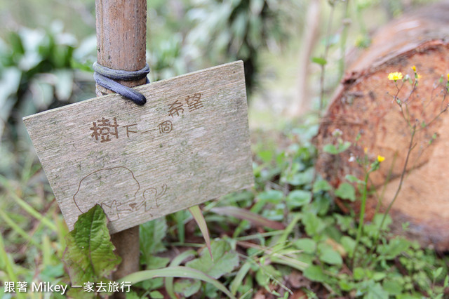 跟著 Mikey 一家去旅行 - 【 復興 】桃源仙谷 - 森林小徑