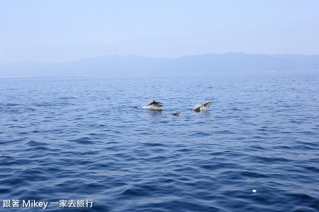 跟著 Mikey 一家去旅行 - 【 宜蘭 】龜山島賞鯨