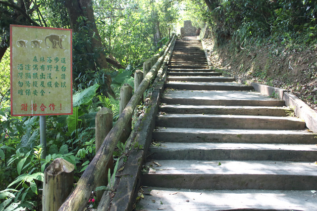 跟著 Mikey 一家去旅行 - 【 大同 】棲蘭國家森林遊樂區