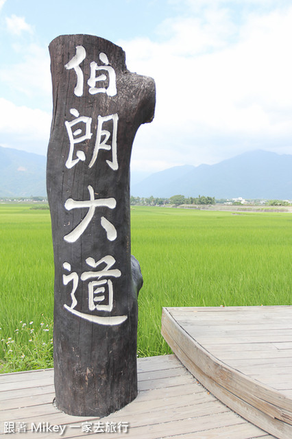 跟著 Mikey 一家去旅行 - 【 池上 】伯朗大道