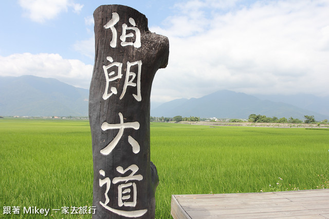 跟著 Mikey 一家去旅行 - 【 池上 】伯朗大道