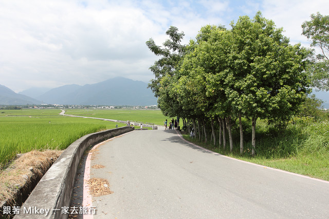 跟著 Mikey 一家去旅行 - 【 池上 】伯朗大道