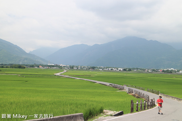 跟著 Mikey 一家去旅行 - 【 池上 】伯朗大道