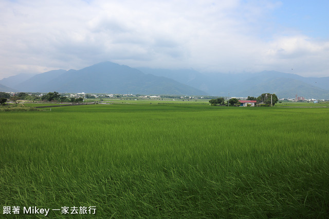 跟著 Mikey 一家去旅行 - 【 池上 】伯朗大道