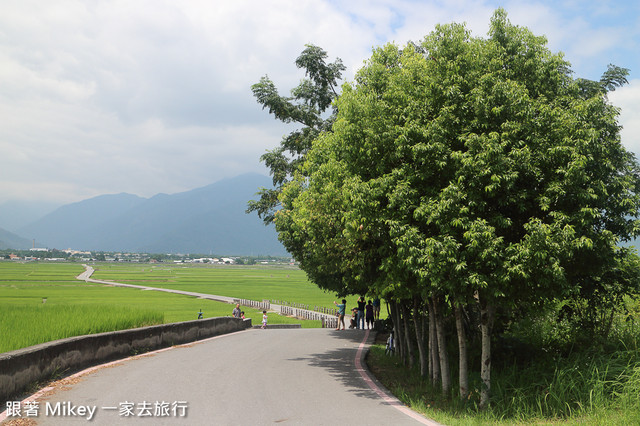 跟著 Mikey 一家去旅行 - 【 池上 】伯朗大道