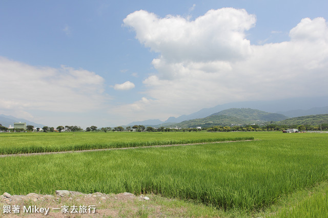 跟著 Mikey 一家去旅行 - 【 池上 】伯朗大道