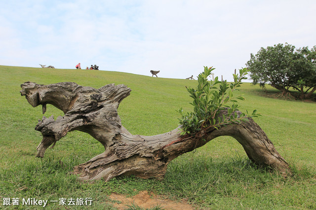 跟著 Mikey 一家去旅行 - 【 壽豐 】牛山呼庭 - 下篇