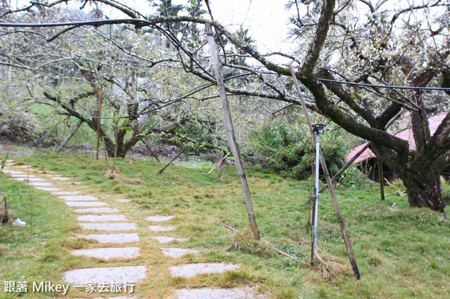 跟著 Mikey 一家去旅行 - 【 信義 】踏雪尋梅 - 風櫃斗 ( 豐梅步道 )