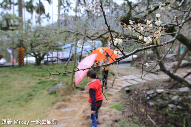 跟著 Mikey 一家去旅行 - 【 信義 】踏雪尋梅 - 風櫃斗 ( 豐梅步道 )