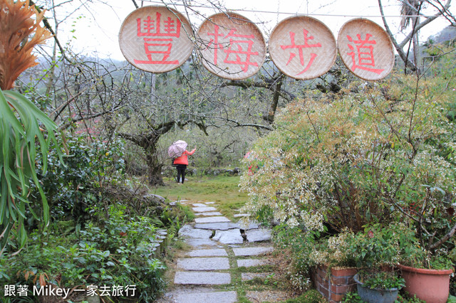 跟著 Mikey 一家去旅行 - 【 信義 】踏雪尋梅 - 風櫃斗 ( 豐梅步道 )