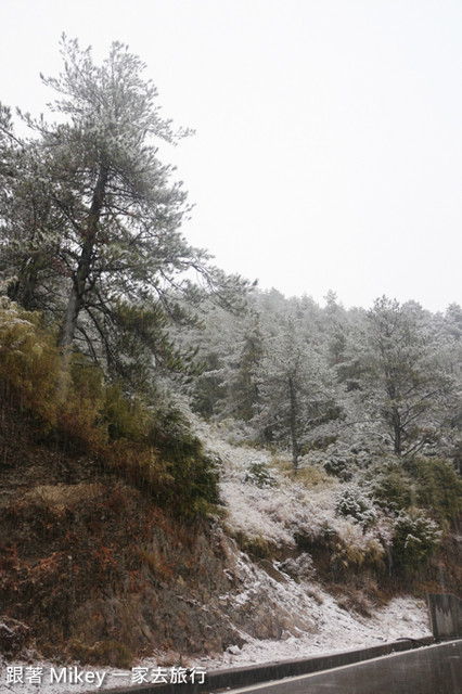 跟著 Mikey 一家去旅行 - 【 信義 】踏雪尋梅 - 合歡山