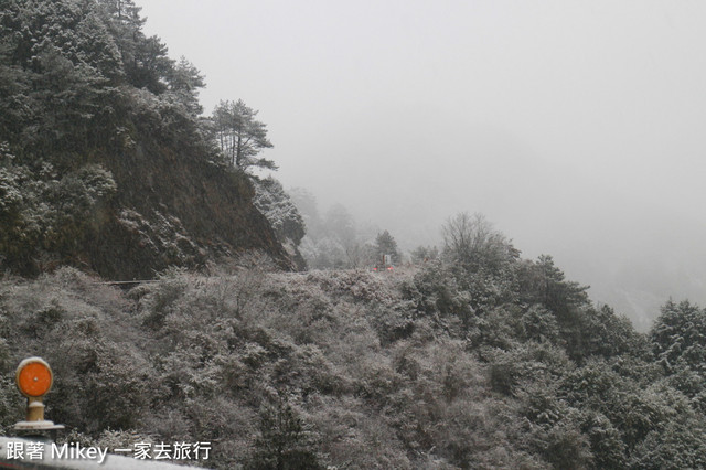 跟著 Mikey 一家去旅行 - 【 信義 】踏雪尋梅 - 合歡山