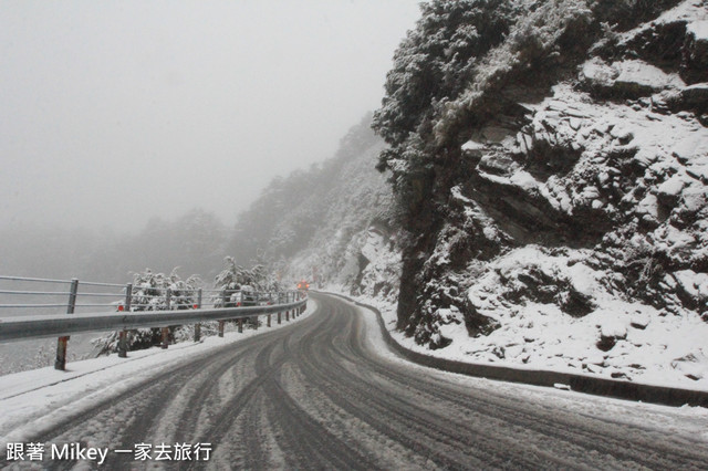 跟著 Mikey 一家去旅行 - 【 信義 】踏雪尋梅 - 合歡山