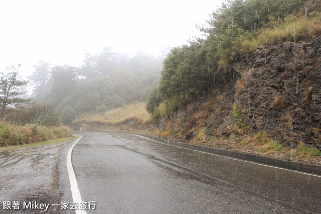 跟著 Mikey 一家去旅行 - 【 信義 】踏雪尋梅 - 合歡山