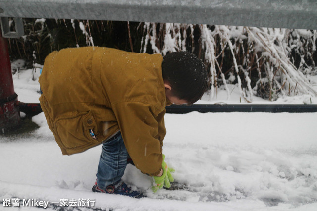 跟著 Mikey 一家去旅行 - 【 信義 】踏雪尋梅 - 合歡山