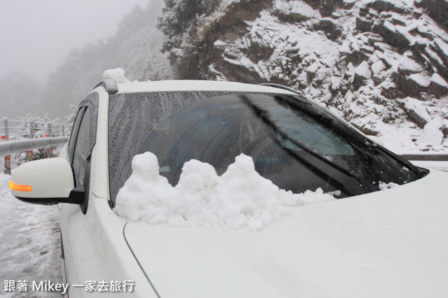 跟著 Mikey 一家去旅行 - 【 信義 】踏雪尋梅 - 合歡山