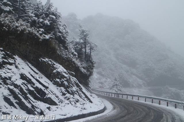 跟著 Mikey 一家去旅行 - 【 信義 】踏雪尋梅 - 合歡山