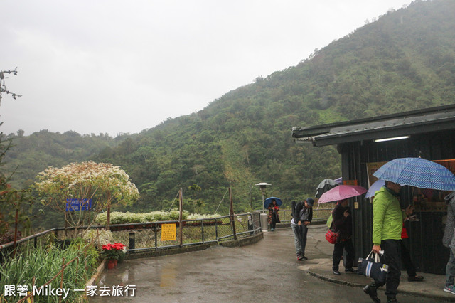 跟著 Mikey 一家去旅行 - 【 信義 】踏雪尋梅 - 柳家梅園