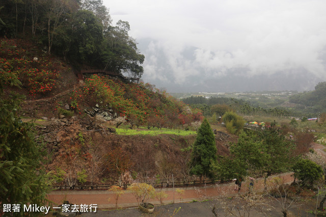 跟著 Mikey 一家去旅行 - 【 信義 】踏雪尋梅 - 柳家梅園