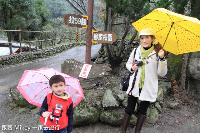 跟著 Mikey 一家去旅行 - 【 信義 】踏雪尋梅 - 柳家梅園