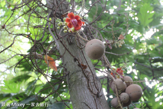 跟著 Mikey 一家去旅行 - 【 台中 】國立自然科學博物館 - 植物園