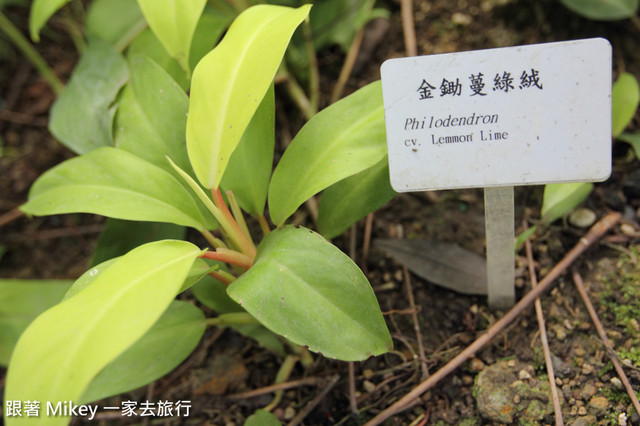 跟著 Mikey 一家去旅行 - 【 台中 】國立自然科學博物館 - 植物園