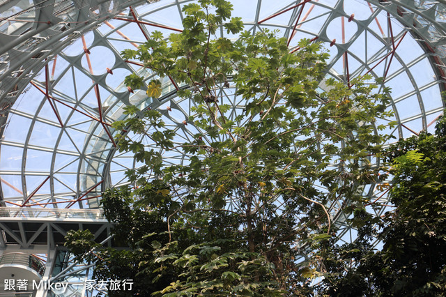 跟著 Mikey 一家去旅行 - 【 台中 】國立自然科學博物館 - 植物園