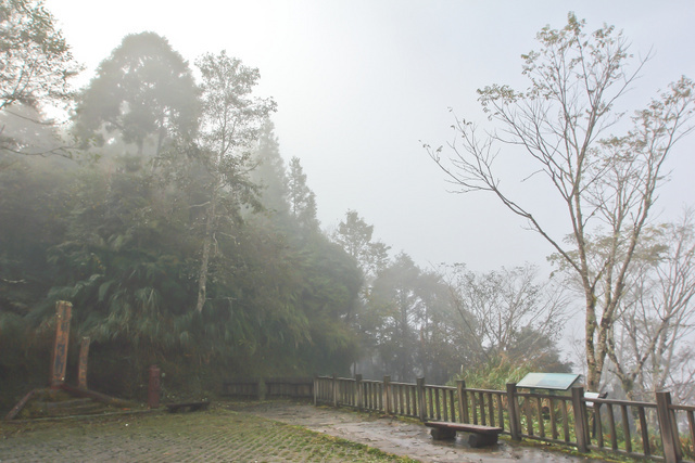 跟著 Mikey 一家去旅行 - 【 大同 】太平山翠峰湖