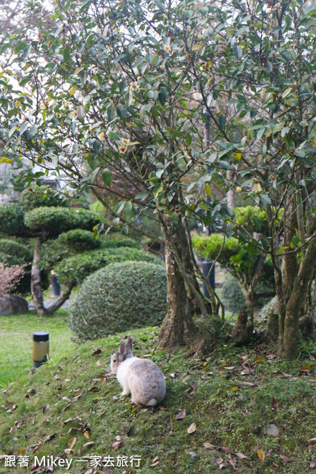 跟著 Mikey 一家去旅行 - 【 埔里 】綠莊飛閣 - 環境篇