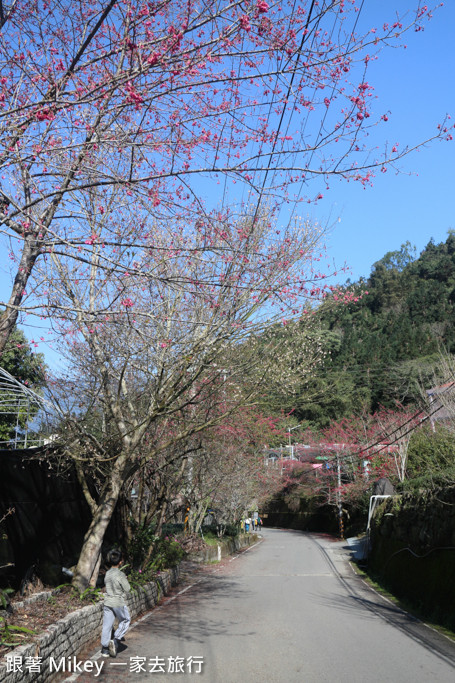 跟著 Mikey 一家去旅行 - 【 信義 】草坪頭玉山觀光茶園