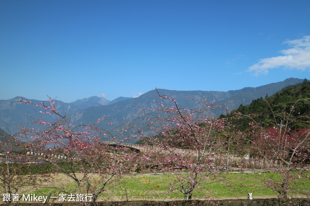 跟著 Mikey 一家去旅行 - 【 信義 】草坪頭玉山觀光茶園