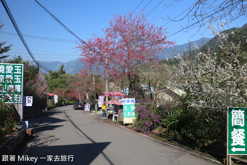 跟著 Mikey 一家去旅行 - 【 信義 】草坪頭玉山觀光茶園