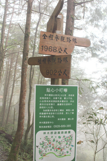 跟著 Mikey 一家去旅行 - 【 大同 】馬告生態公園 - 神木園