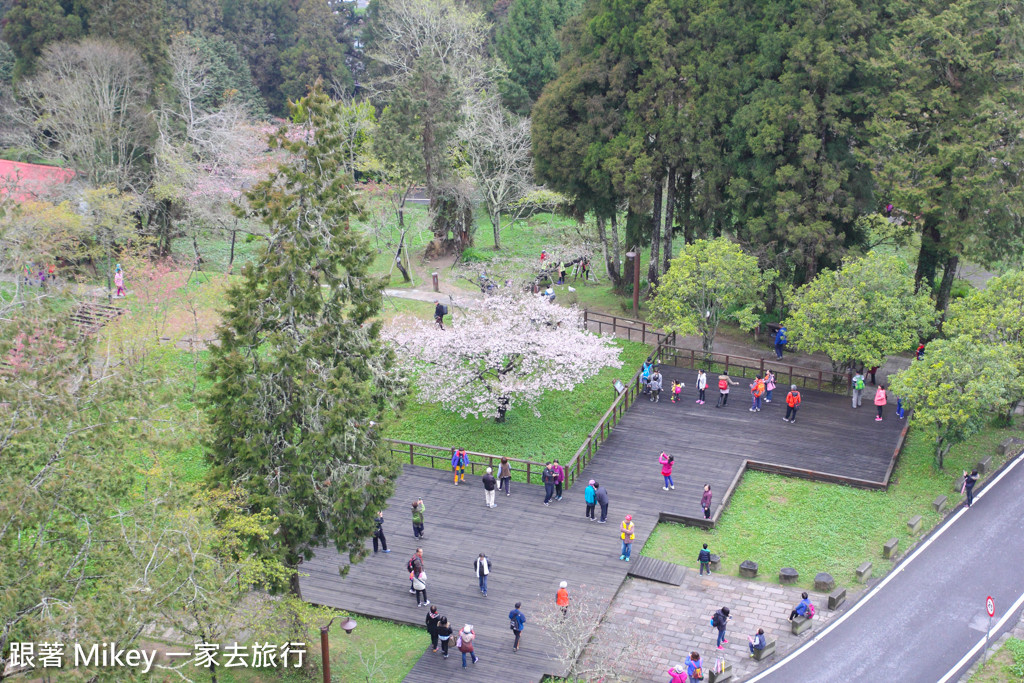 跟著 Mikey 一家去旅行 - 【 嘉義 】阿里山賓館 - 環境篇