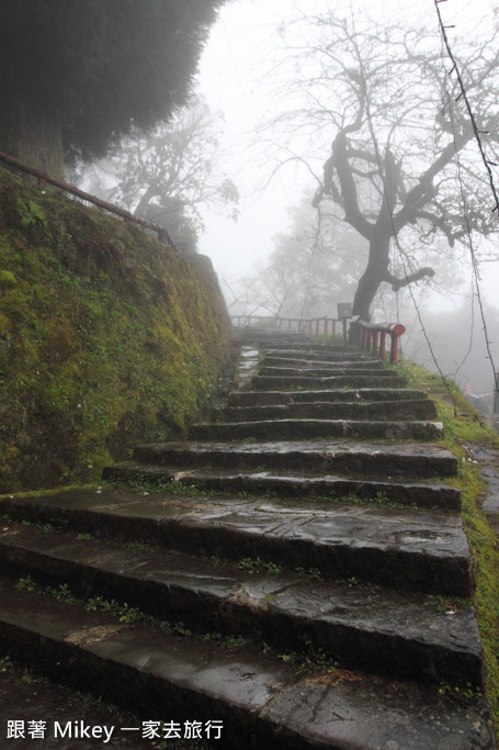 跟著 Mikey 一家去旅行 - 【 嘉義 】阿里山賓館 - 環境篇