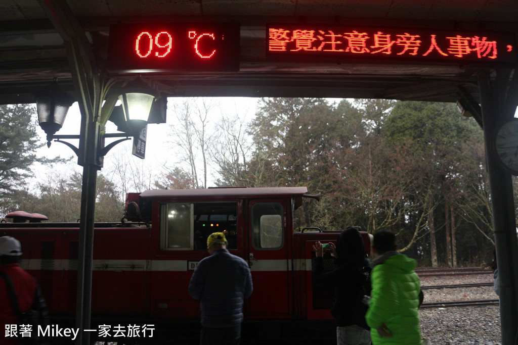 跟著 Mikey 一家去旅行 - 【 嘉義 】阿里山國家風景區 - 日出