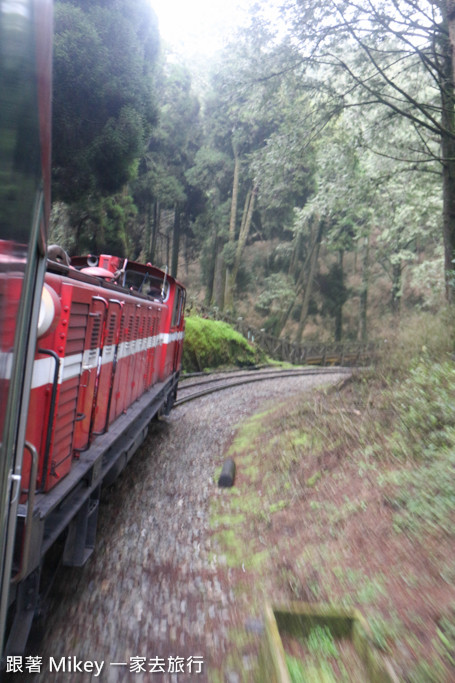 跟著 Mikey 一家去旅行 - 【 嘉義 】阿里山國家風景區 - 日出