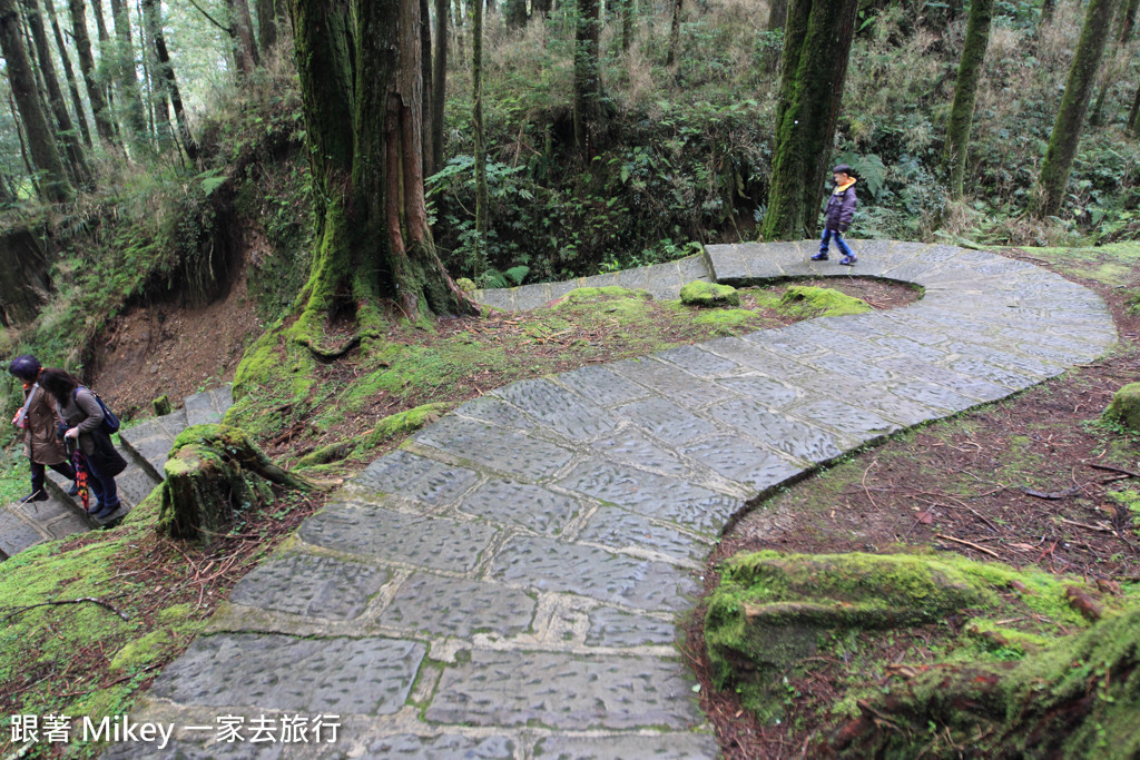 跟著 Mikey 一家去旅行 - 【 嘉義 】阿里山國家風景區 - 姐妹潭