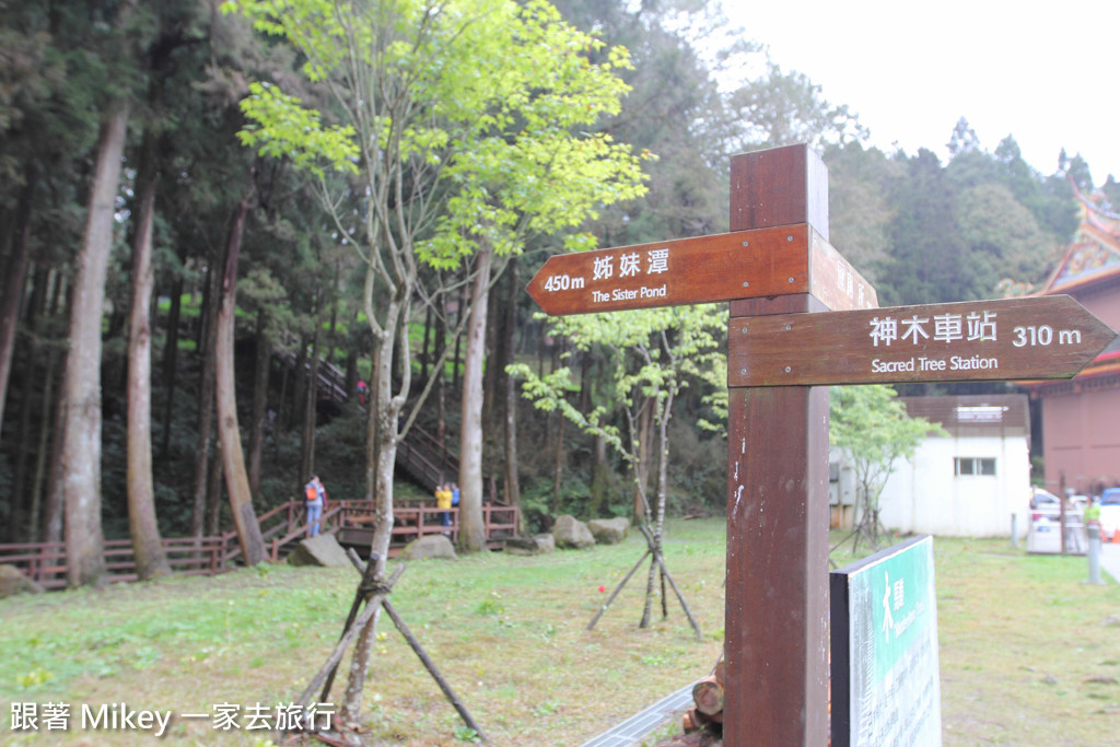 跟著 Mikey 一家去旅行 - 【 嘉義 】阿里山國家風景區 - 姐妹潭