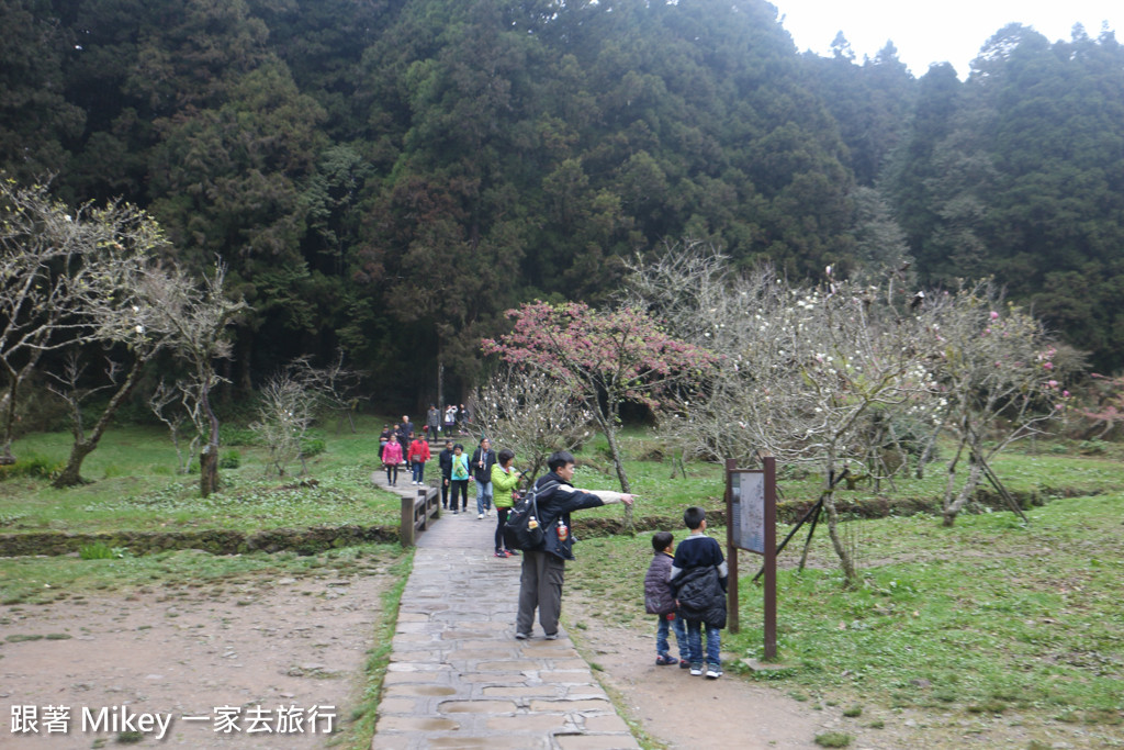 跟著 Mikey 一家去旅行 - 【 嘉義 】阿里山國家風景區 - 姐妹潭