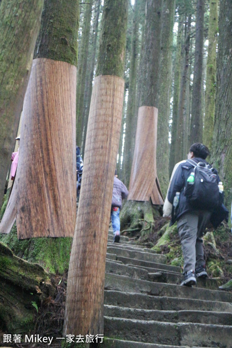 跟著 Mikey 一家去旅行 - 【 嘉義 】阿里山國家風景區 - 姐妹潭