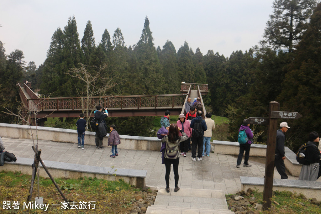 跟著 Mikey 一家去旅行 - 【 嘉義 】阿里山國家風景區 - 沼平車站