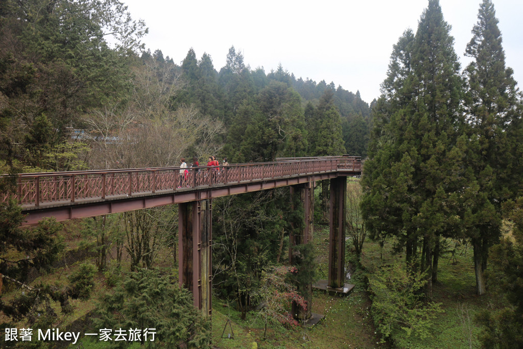 跟著 Mikey 一家去旅行 - 【 嘉義 】阿里山國家風景區 - 沼平車站