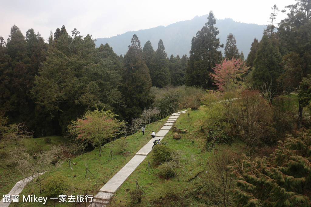 跟著 Mikey 一家去旅行 - 【 嘉義 】阿里山國家風景區 - 沼平車站